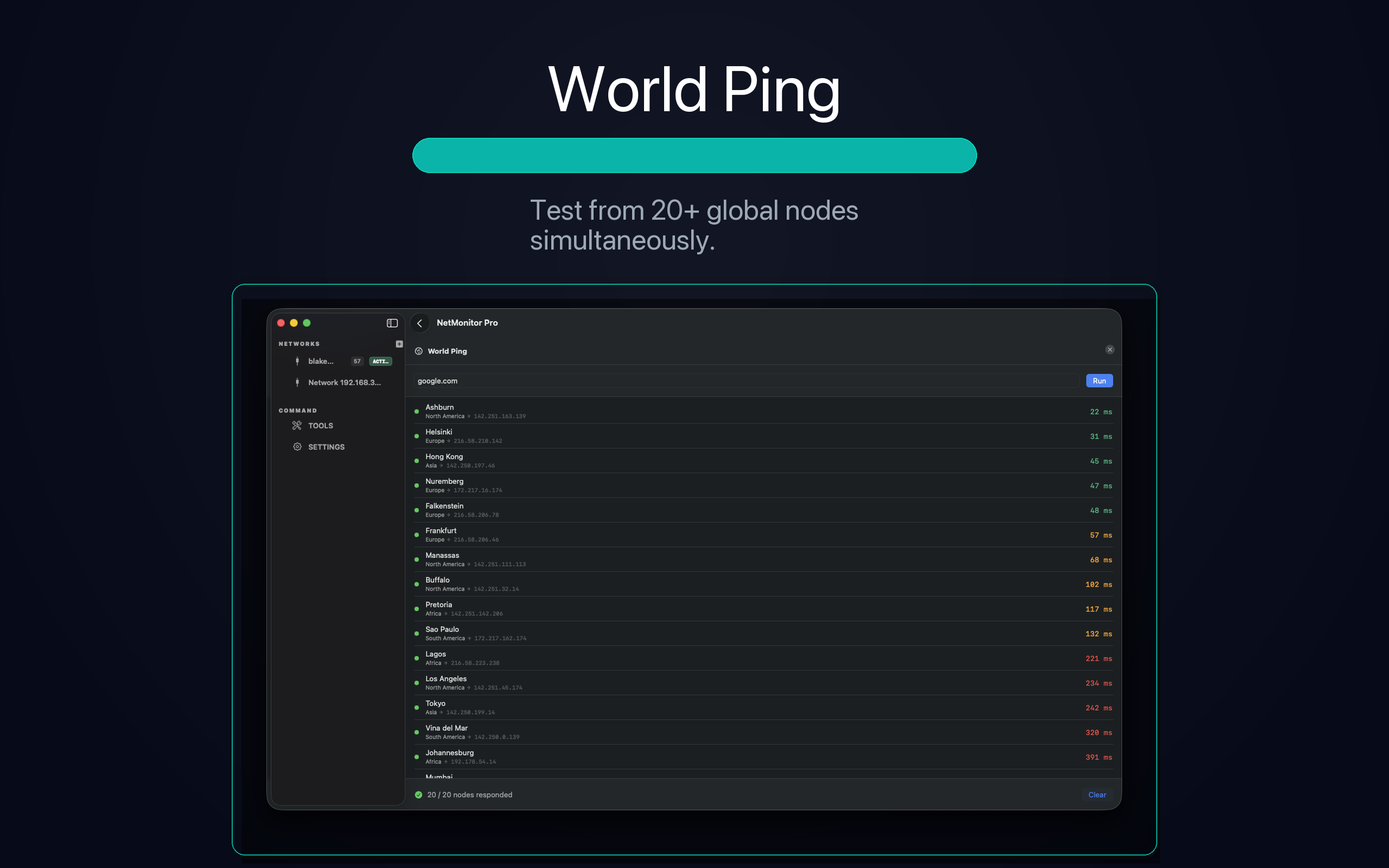 World Ping — test from 20+ global nodes